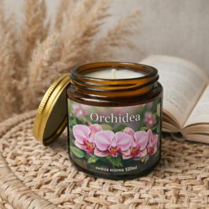 Orchidea